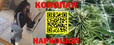 эйфоретик Камышлов