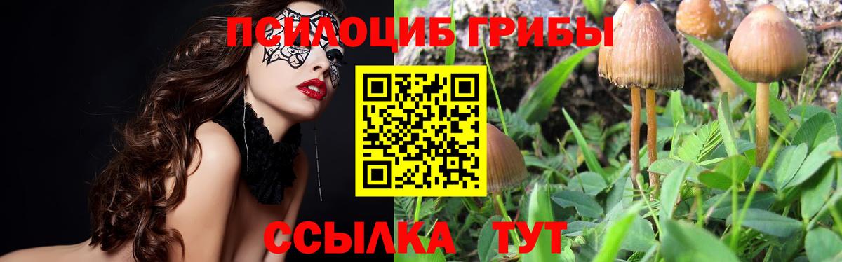 Псилоцибиновые грибы мухоморы Лыткарино