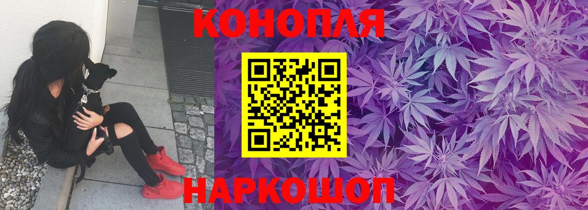 Бошки Шишки планчик Лыткарино